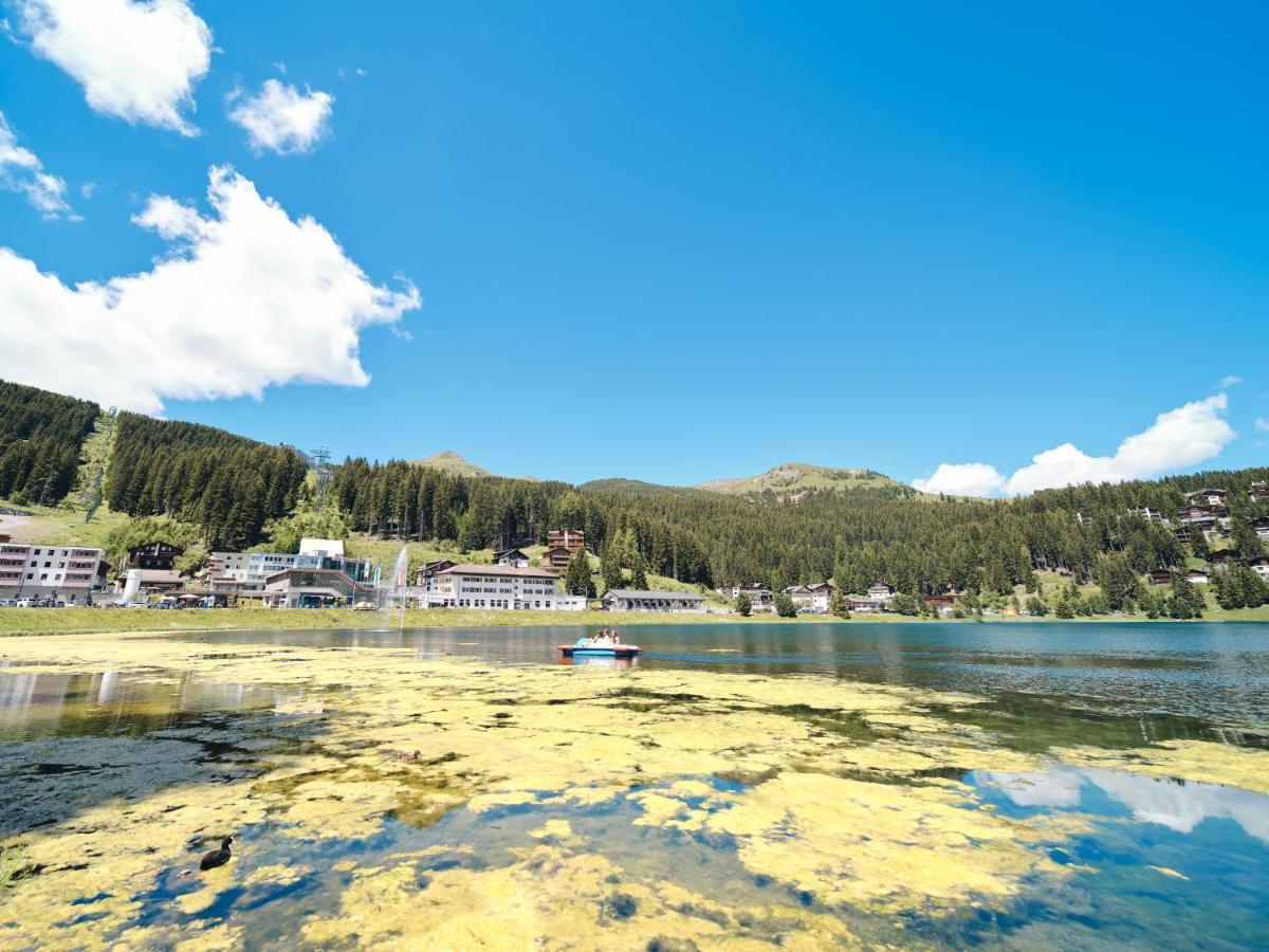 Haus Padrun 3 By Arosa Vacations Leilighet Eksteriør bilde